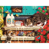 Buffalo 750pc Puzzle - Cats - Doorstep Raiders-TCG Nerd